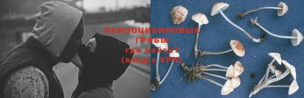 ALPHA PVP Алексин