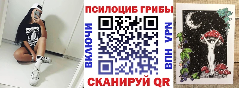 как найти закладки  Карабаш  Псилоцибиновые грибы Psilocybine cubensis 
