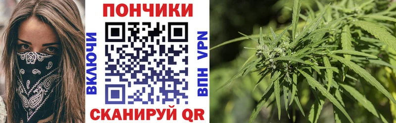 Каннабис сатива Карабаш